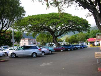 DSCN4271