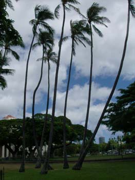 03_Iolani_Palace