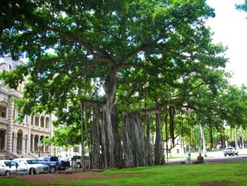08.1_Iolani_Palace