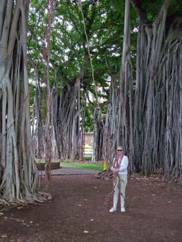 09_Iolani_Palace