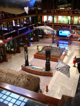 16.2_Bishop_Museum