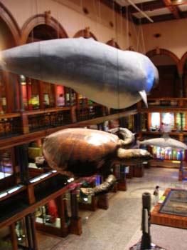 16.3_Bishop_Museum