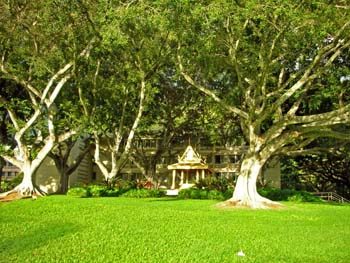 23_Thai_UH_campus