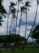 03_Iolani_Palace