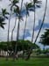 04_Iolani_Palace