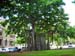 08.1_Iolani_Palace