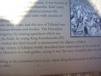 44_Kamehameha_dignity_of_labor