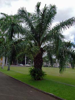 21_Iolani_Palace