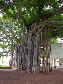 30_Iolani_Palace