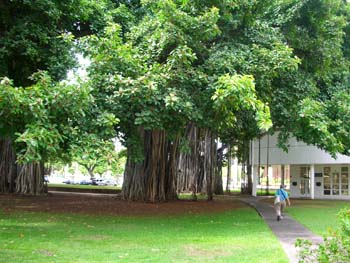 35_Iolani_Palace