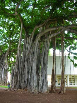 41_Iolani_Palace
