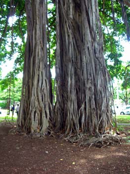 42_Iolani_Palace