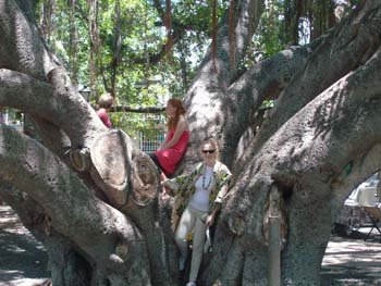 76_Maui_Lahaina_Banyan_tree