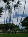 26_Iolani_Palace