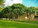 47_Abraham_Lincoln_Hall_UH_campus