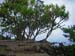 54_Maui_Keanae