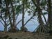 56_Maui_Keanae