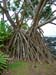 58_Maui_Keanae