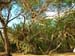 62_Maui_Makena