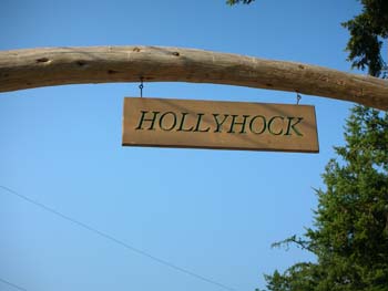 Hollyhock
