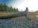 31_Morning_Eastwards