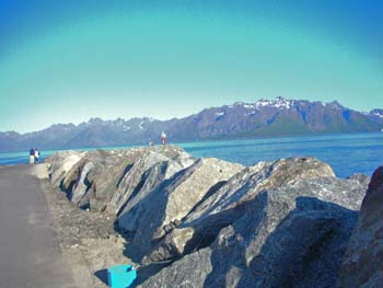 61_ved_aapningen