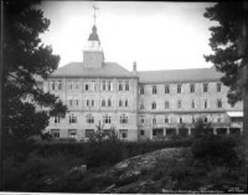 Landeskogen_gammel