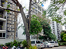 %_tempFileName39_Pattaya_16_March_2014%