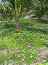 %_tempFileName07_Pattaya_Trine_Eklund_17_18_March_2014%