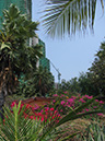 %_tempFileName11_Pattaya_Trine_Eklund_17_18_March_2014%
