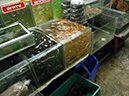 %_tempFileName48_Pattaya_9-11_April_2014%