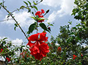 %_tempFileName02_Organic_farm_4_Sept_2019%
