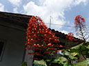 %_tempFileName03_Organic_farm_4_Sept_2019%