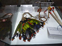 %_tempFileName04_Museu_Goeldi_Kayapo_5_Sept_2019%
