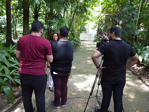 %_tempFileName01_Marlucia_Martins_interview%