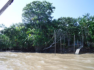 %_tempFileName013_Combu_island_6_Sept_2019%
