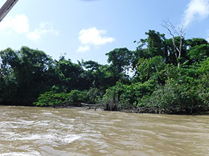 %_tempFileName032_Combu_island_6_Sept_2019%