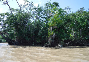 %_tempFileName039_Combu_island_6_Sept_2019%