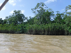 %_tempFileName044_Combu_island_6_Sept_2019%