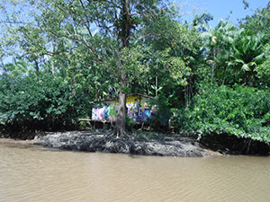 %_tempFileName057_Combu_island_6_Sept_2019%