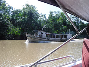%_tempFileName058_Combu_island_6_Sept_2019%