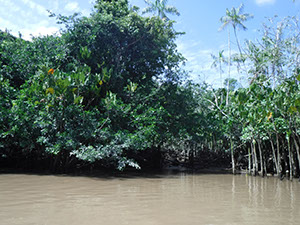 %_tempFileName077_Combu_island_6_Sept_2019%