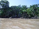 %_tempFileName012_Combu_island_6_Sept_2019%