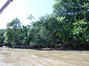 %_tempFileName014_Combu_island_6_Sept_2019%