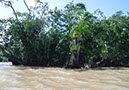 %_tempFileName039_Combu_island_6_Sept_2019%