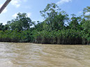 %_tempFileName044_Combu_island_6_Sept_2019%