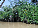 %_tempFileName053_Combu_island_6_Sept_2019%