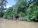 %_tempFileName055_Combu_island_6_Sept_2019%