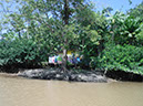 %_tempFileName057_Combu_island_6_Sept_2019%