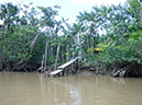 %_tempFileName069_Combu_island_6_Sept_2019%